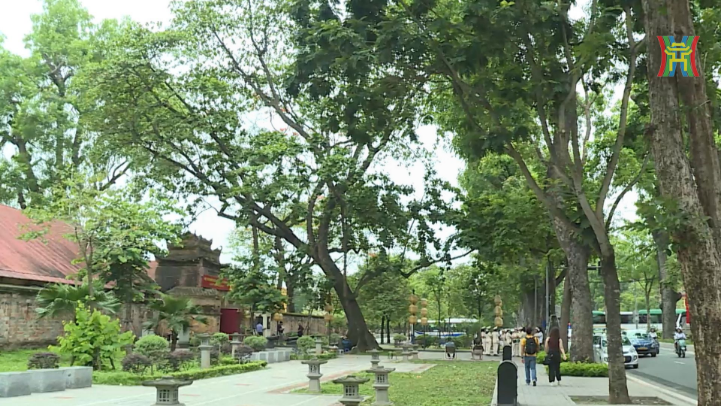 Vẻ đẹp trên đường Hoàng Diệu